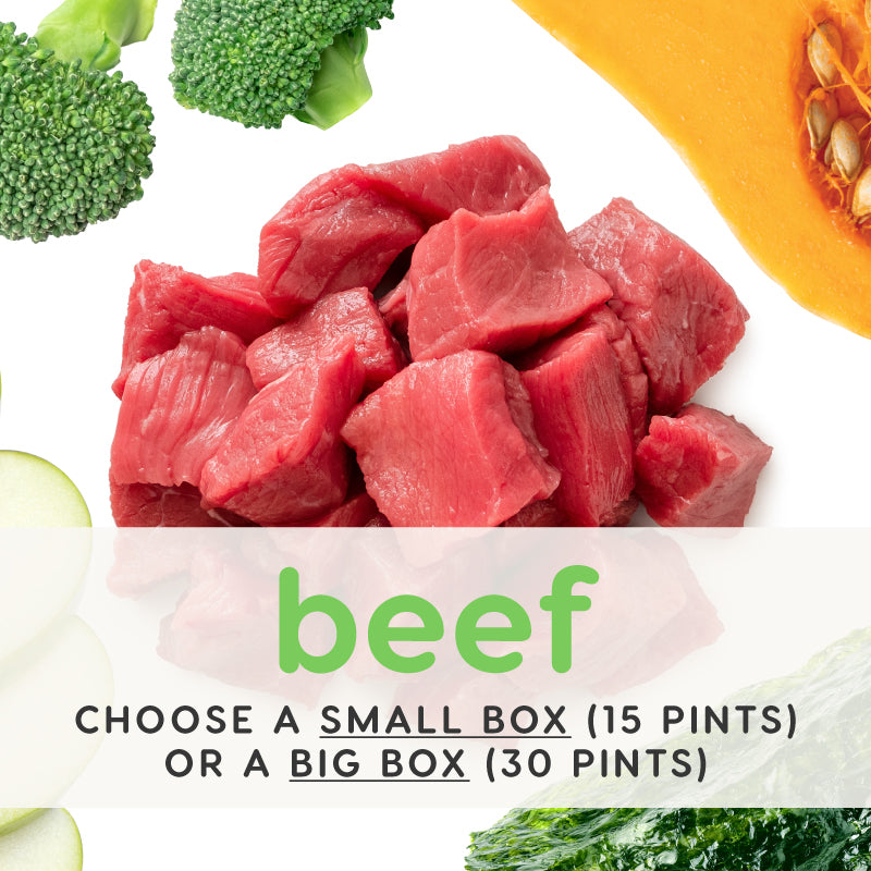 Beef Recipe - 100% Human Grade Ingredients