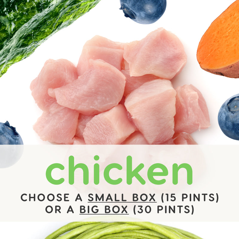 Chicken Recipe - 100% Human Grade Ingredients